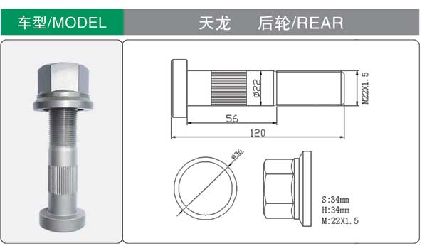 Rear tire bolt