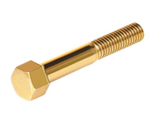 Rear engine support screw ( Ф 16 )